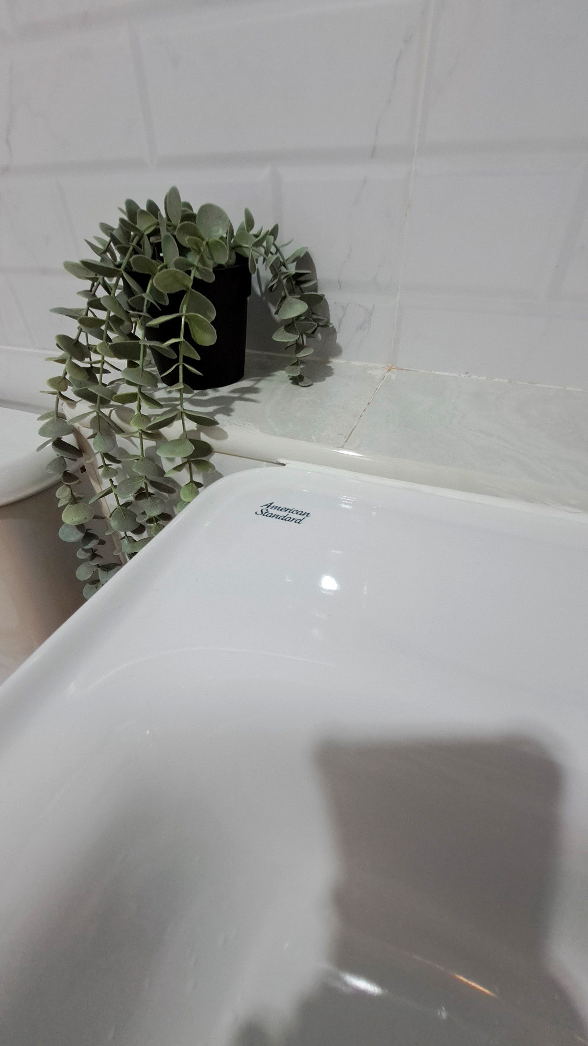 Pictures of Veena Residence, New apartment, close to Central Bangna, Close to 7-11, Lotus, CJ Mart 13/40