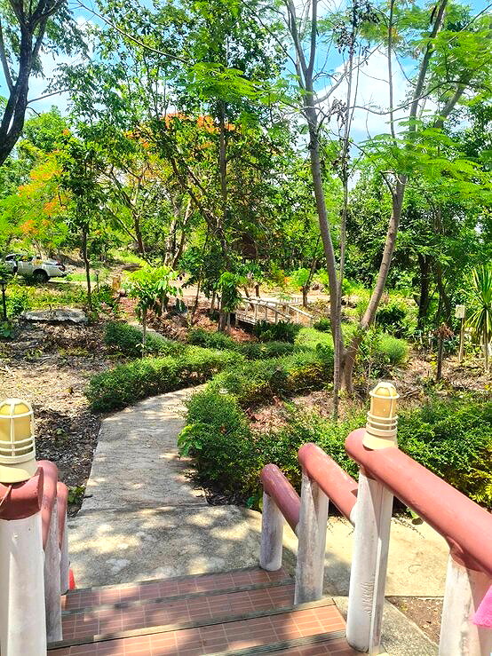 Pictures of Paula Home 6/6